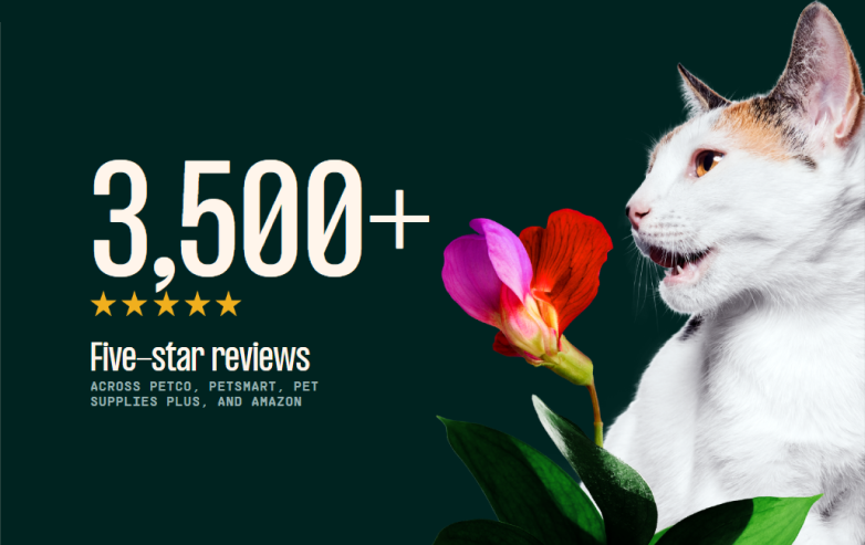 Cat with a flower and text about five-star reviews on a dark green background